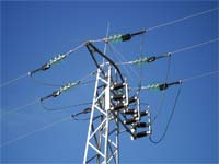 EDP preserva avifauna