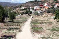 Moncorvo expande hortas comunitárias