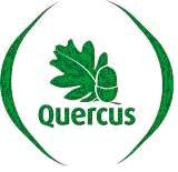 Providência cautelar para tentar travar Veiguinhas