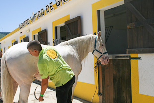 Grijó inaugura Centro Hípico