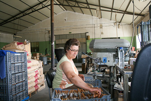 Palaçoulo passa ao lado da crise