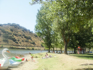 Foz do Sabor promove gastronomia