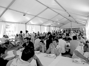 Migas e peixe ao sabor do rio