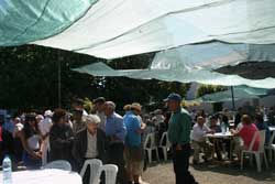 1200 idosos em festa em Alfândega da Fé