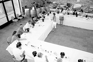 Prémios Arribe na recta final