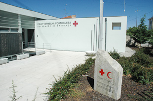 Direcção da Cruz Vermelha vai ser afastada