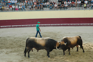Final recheada de estreias