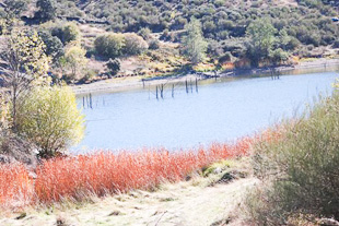 Seca põe em causa qualidade da água