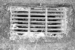 Sarjetas geram críticas na Quinta das Carvas