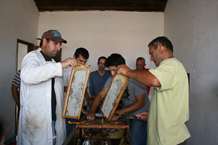 Jovens apicultores instalam-se no Planalto Mirandês