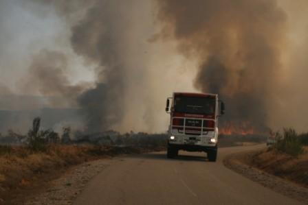 Bragança e Vila Real foram dos distritos mais afectados pelos incêndios