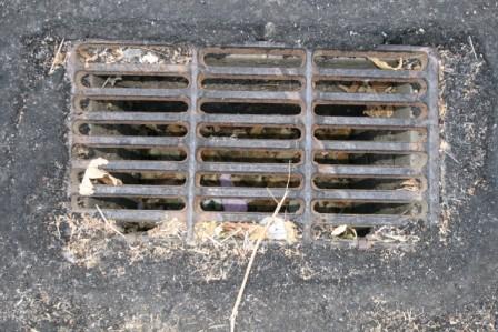 Sarjetas com lixo deixam moradores da Quinta das Carvas em alerta