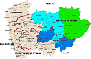 Autarcas contestam reorganização do IEFP