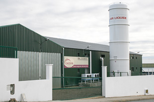 Transformação de castanha cria 50 empregos