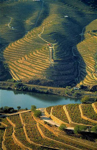 Património mundial não está em risco