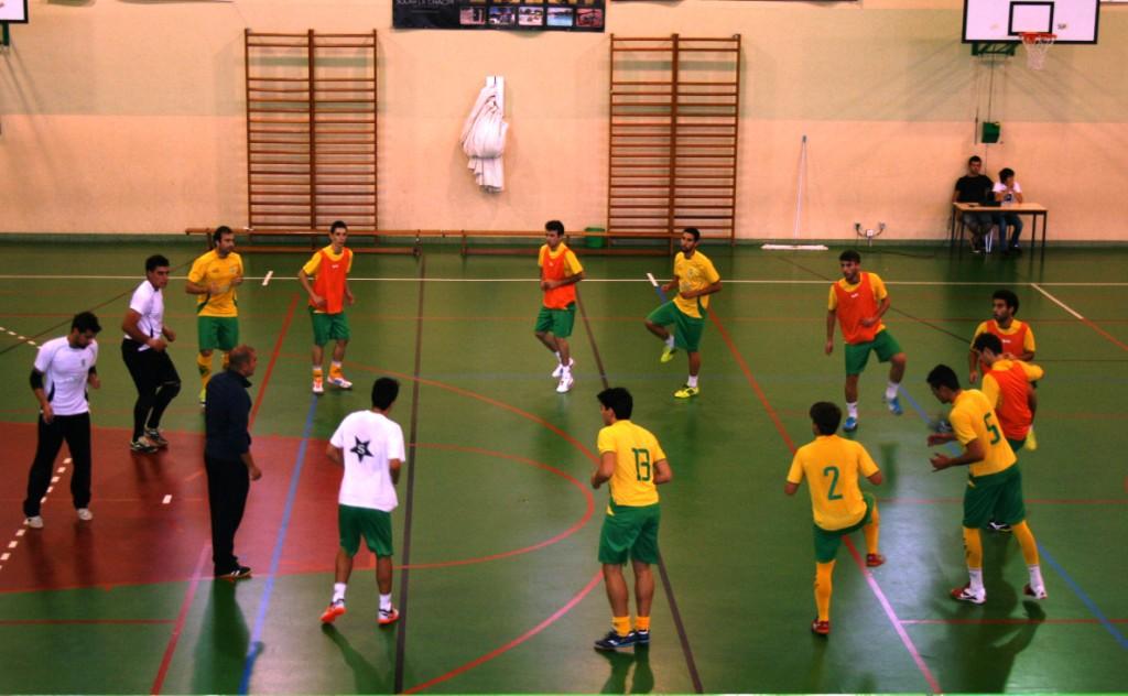 Jogadores em evolução no GDM