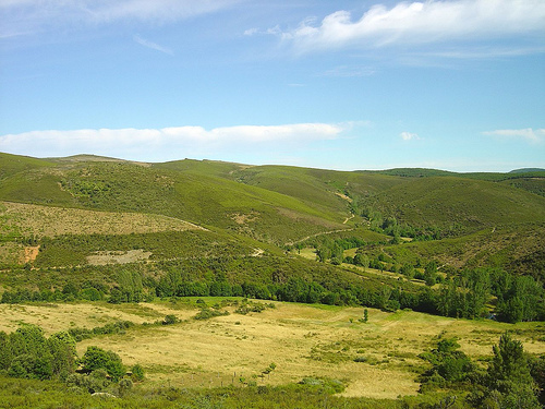 Biodiversidade transmontana candidatada a património mundial