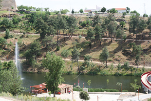 Câmara de Miranda distribui hortas comunitárias