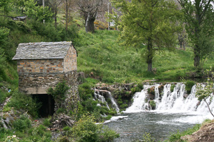 Parlamento recomenda legislação para energia produzida em moinhos
