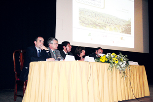 Fileira do olival em debate