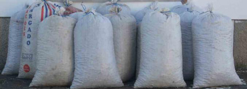 Castanhas roubadas de armazém em Terroso