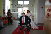 Canino-terapia usada em pessoas com deficiência