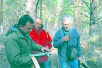 Cogumelos: o exemplo que vem de Espanha