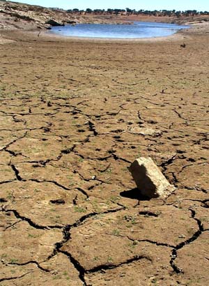Agricultores da Vilariça já estão “à rasca” com a seca