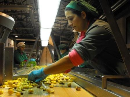 Sortegel vende na Internet