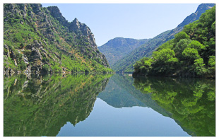 Autarcas querem participar na gestão do PNDI