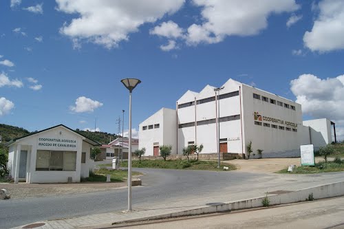 Três listas concorrem à Cooperativa de Macedo de Cavaleiros