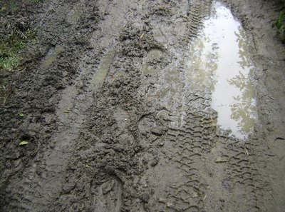 Casal de idosos vive isolado às portas de Mirandela