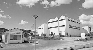 Cooperativa Agrícola mantém presidente