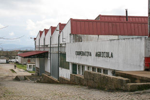 Cooperativa Agrícola livre de suspeitas