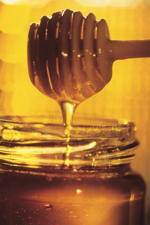 Mel do planalto em concurso