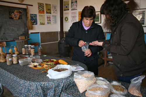 Troca de sementes tradicionais em Duas Igrejas
