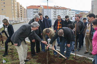 Bragança planta 54 árvores em instituições