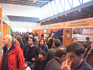 Crise passou ao lado da Feira do Folar de Valpaços