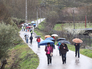 “Mirandela – Concelho Activo”