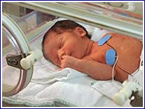 Pais acompanham bebés internados em casa