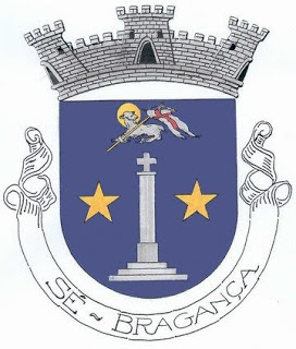 Alice Borges é a candidata independente à Junta da Sé