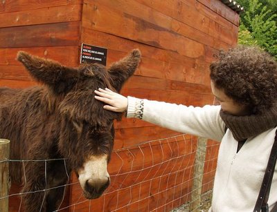 Parque Biológico lotado para réveillon