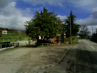 Esfaqueou a ex-mulher, movido pelos ciúmes