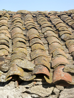 Câmara lança curso de Construção Bioclimática