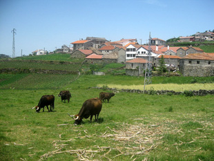 “Valorizar” o Interior do País