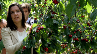 Subsídios com prazo alargado