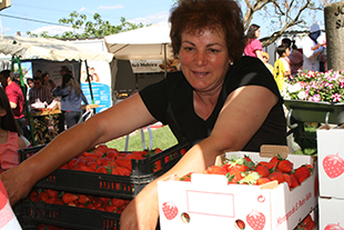 V Feira do Vinho e Morangos