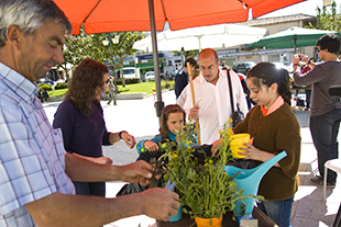 Os produtores do Núcleo PROVE de Macedo de Cavaleiros ensinaram as crianças a semear e a plantar alguns produtos hortofrutícolas.