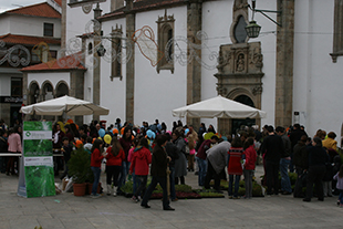 Dia Internacional do Fascínio das Plantas