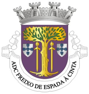 A.D.C.Freixo de Espada à Cinta vai regressar ao distrital de futebol